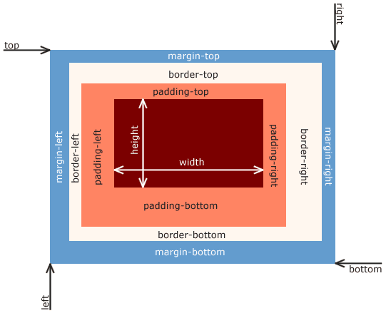 CSS Box Model: Every Element is a Box