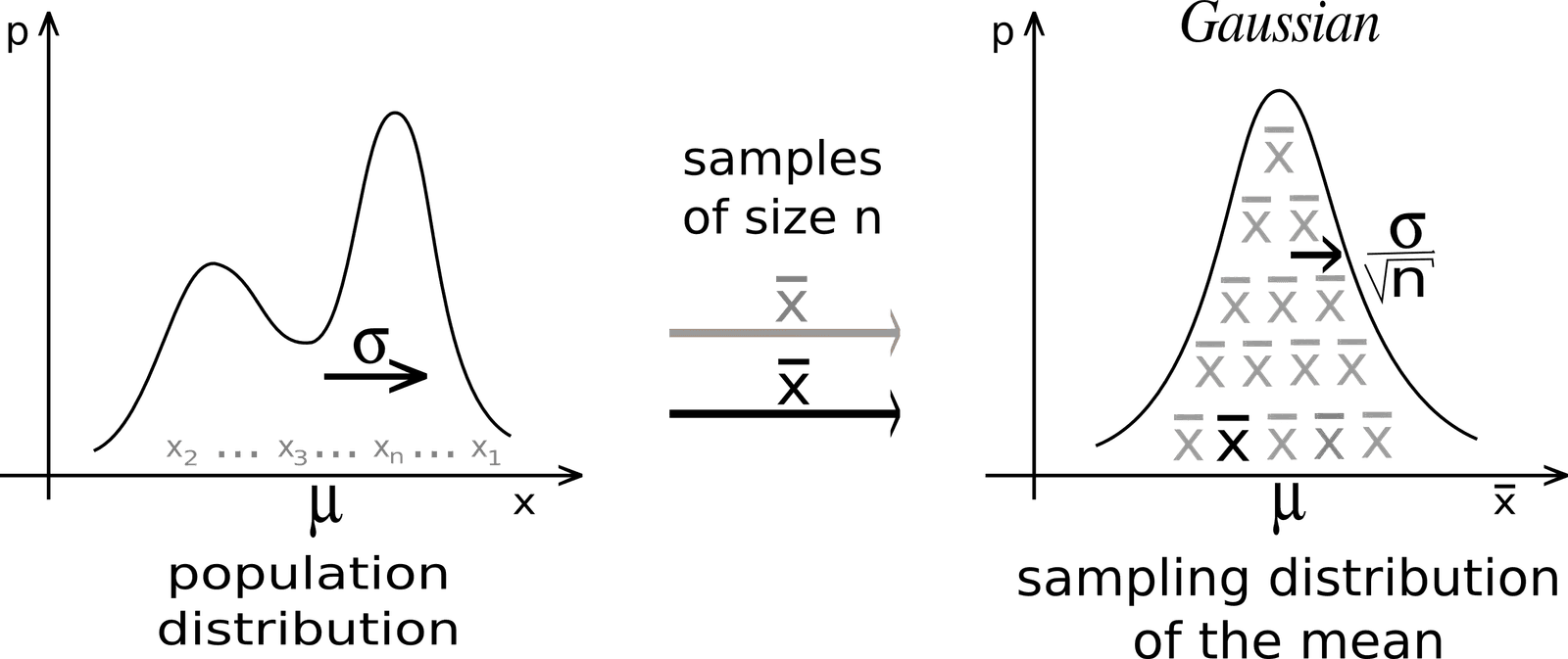 Explain the Central Limit Theorem and its importance for hypothesis testing