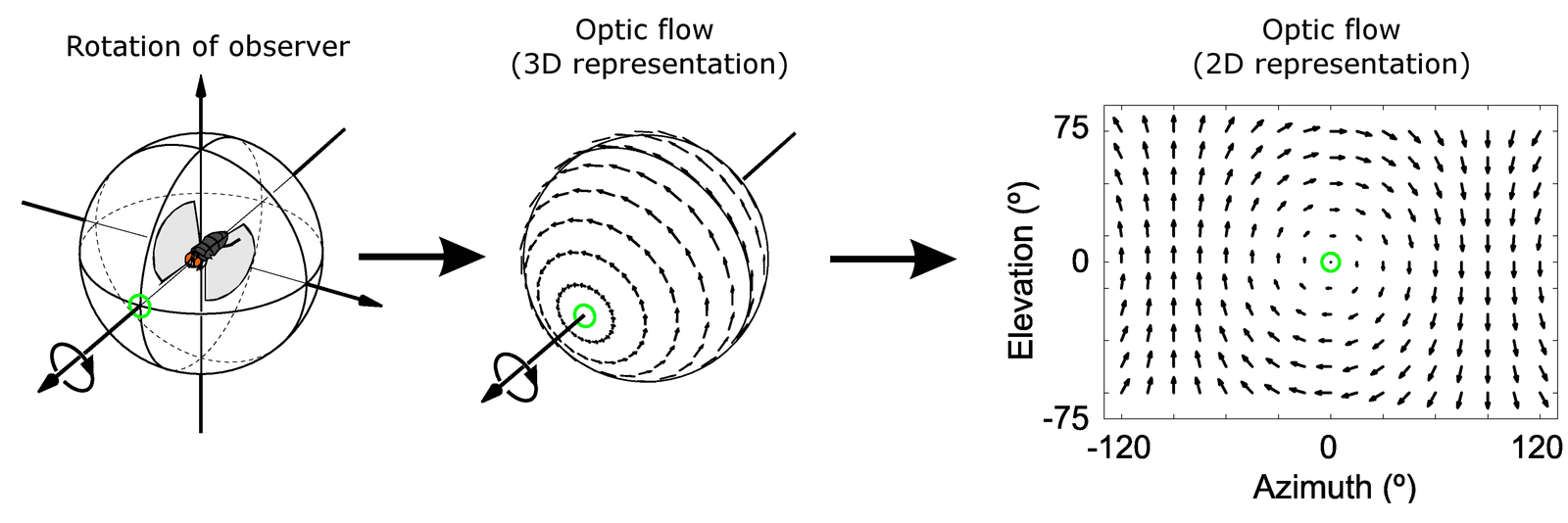 Optical Flow: Tracking Motion by Watching Pixels
