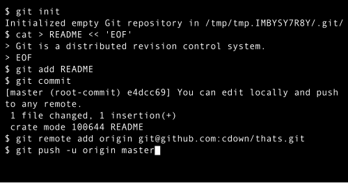 Distributed Version Control (DVCS): Everyone Gets a Copy