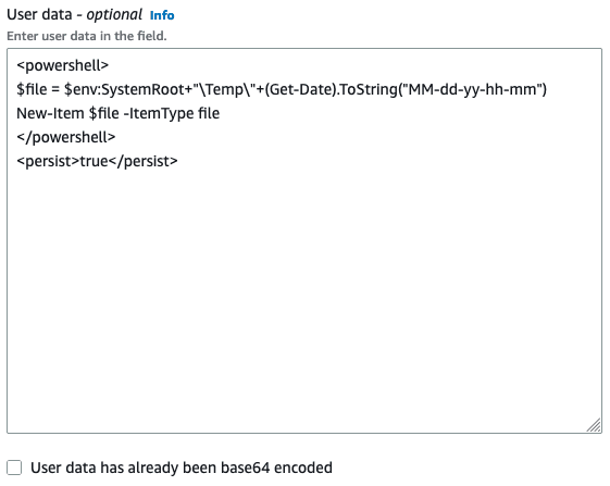 User Data Scripts: Day-One Instance Configuration