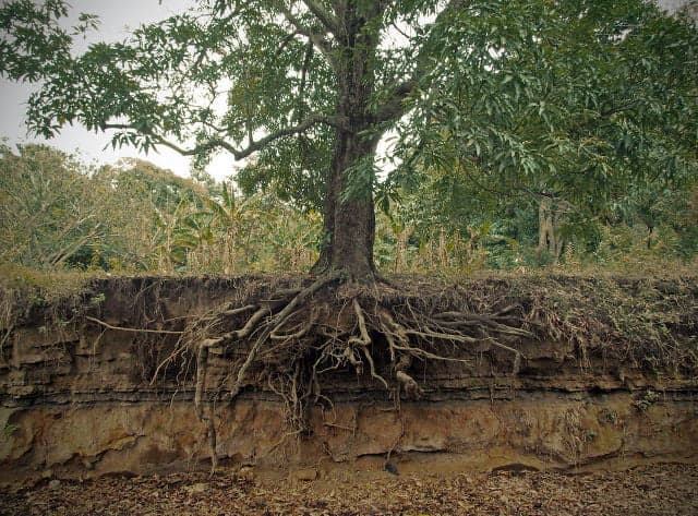 Beyond 'Root Cause': Proximate vs. Contributing Factors