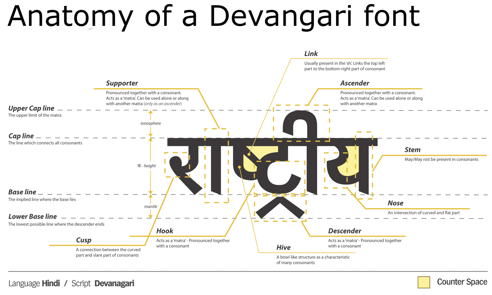 Anatomy of a Typeface: Why Letters Lie to Your Eyes