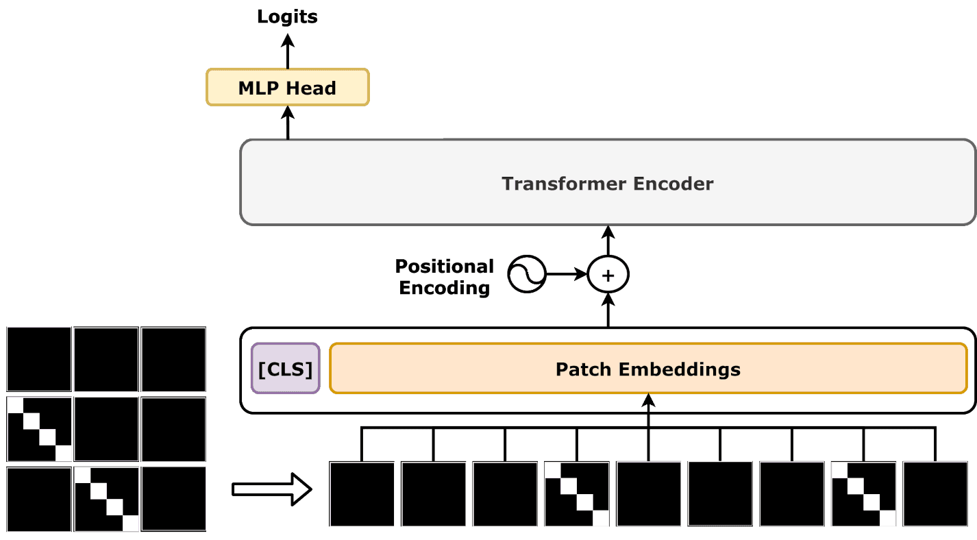 Patch Embedding: Turning Images into Words for Transformers